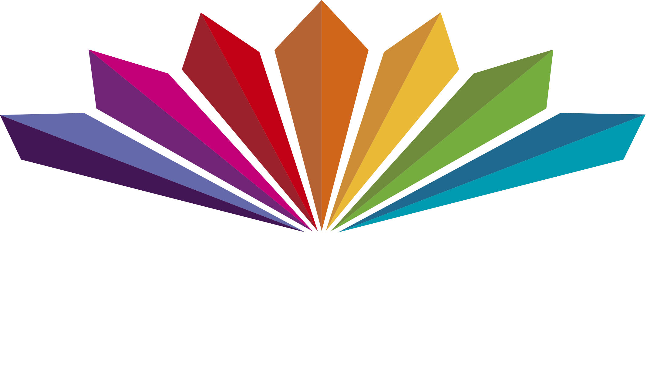 Multichoice Logo